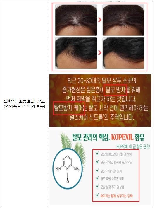 의약품 오인 광고 적발 사례 [식품의약품안전처 자료 제공]