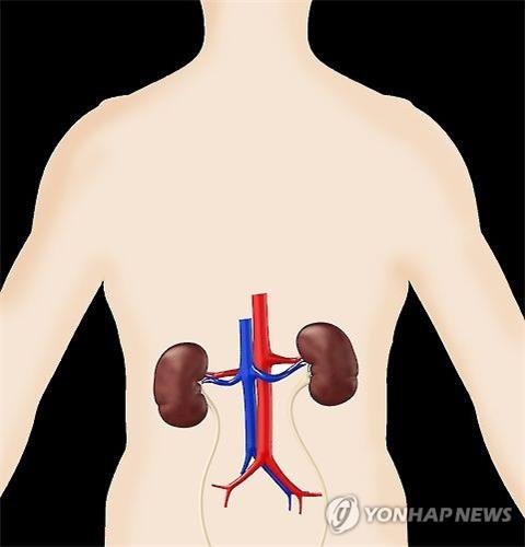 콩팥병 신호탄 '소변 거품'..오후에도 거품 많으면 '이것' 의심