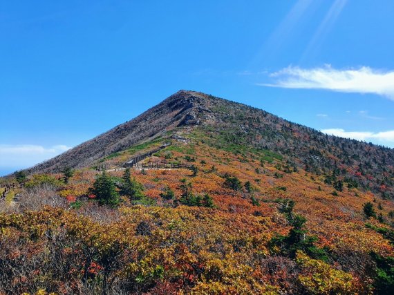 [서울=뉴시스] 설악산 단풍. (사진=강원지방기상청 제공) 2022.09.29 *재판매 및 DB 금지 *재판매 및 DB 금지 /사진=뉴시스