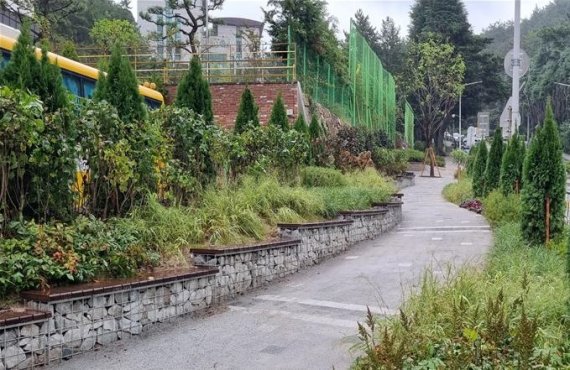 부산 금정구 삼육초등학교 등굣길에 조성된 자녀안심 그린숲 전경 부산시 제공