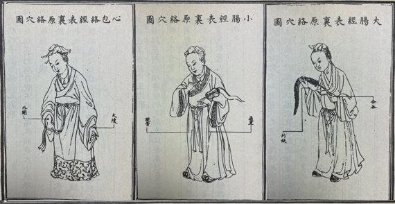 [한동하의 본초여담] 중풍에는 진짜와 가짜가 있으니 OO과 구별해야 한다