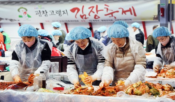 13일 오후 강원 평창군 진부면 평창송어축제장 일원에서 열린 '2022 평창고랭지김장축제'에서 방문객들이 김장 체험을 하고 있다. /연합뉴스