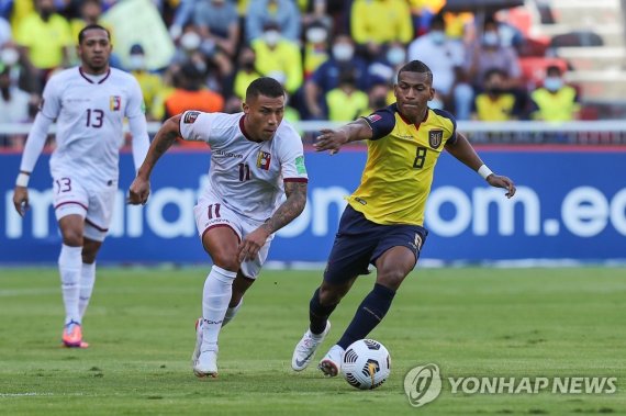 미드필더 그루에소 epa09577304 Carlos Gruezo (R) of Ecuador disputes the ball with Darwin Machis of Venezuela, in a match of the South American qualifiers for the World Cup in Qatar 2022, at the Rodrigo Paz Delgado stadium, in Quito, Ecuador, 11 November 2021. EPA/JOSE JACOME / POOL