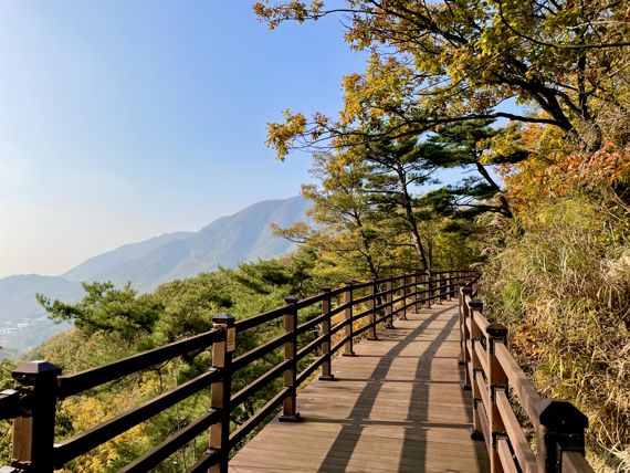 국립제천치유의숲