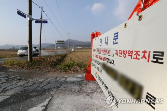 용인, 전남 장흥서 고병원성 조류인플루엔자 확진