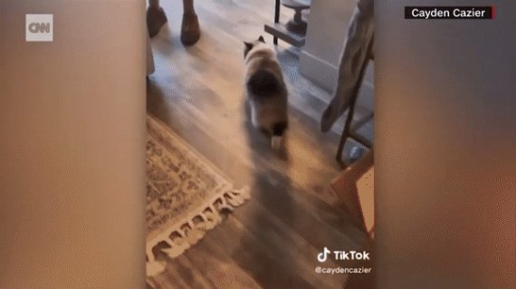 아기와 만난 후 다른 방으로 도망가 헛구역질을 하기 시작한 피피. (CNN 갈무리)