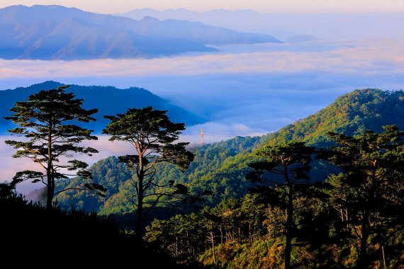 김문환씨 '설악의 운무'(인제군 제공) 2022.11.20/뉴스1