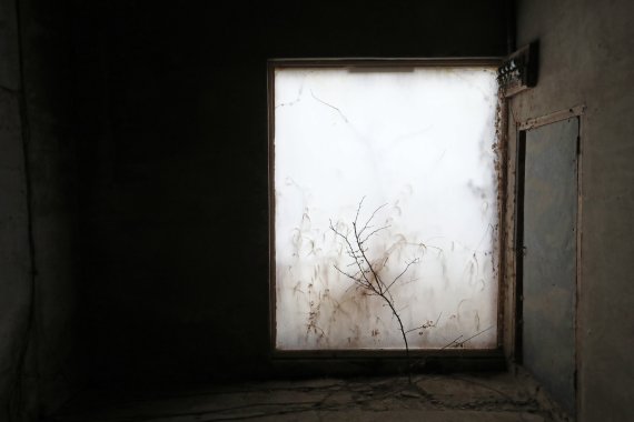 [익산=뉴시스] 박진희 기자 = 조덕현 작가가 전북 익산시 춘포도정공장 건물에서 개인전 '108 and: 어둠과 빛, 바람과 비의 서사' 작품을 선보이고 있다. 자연물을 그대로 이용한 작품이다. 벽 밖에 무성히 자란 풀들 앞에 천을 대자 한폭의 동양화가 완성됐다. 2023년 4월 22일까지. 2022.11.16. pak7130@newsis.com