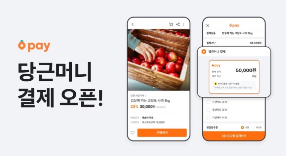 당근머니 결제 오픈 [당근마켓 제공. 재판매 및 DB 금지]