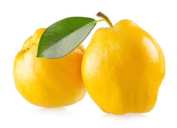 동장군 입김에 굳어버린 근육… 따뜻한 모과차 한 잔으로 사르르 [한의사 曰 건강꿀팁]