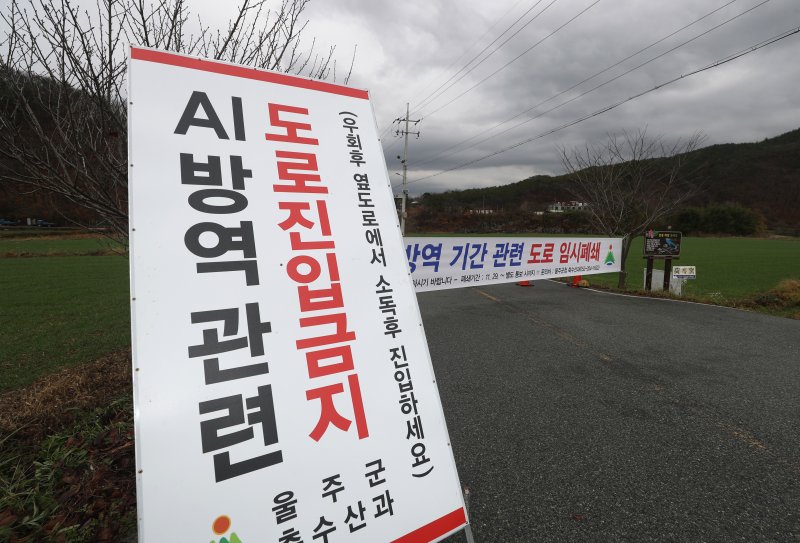 울산 울주군 삼동면 한 산란계 농장에서 H5형 조류 인플루엔자(AI) 항원이 검출된 가운데 29일 오후 농장 인근 도로가 임시 폐쇄돼 있다. /사진=연합뉴스