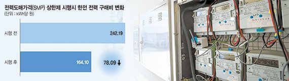 신재생에너지발전사 "매출 40% 급감… SMP 상한제 소송"