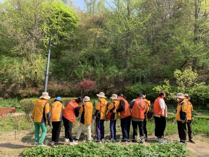 '기억숲산책 프로그램'에 참여한 어르신들이 봄 꽃을 바라보고 있다. (자료제공=서울시)