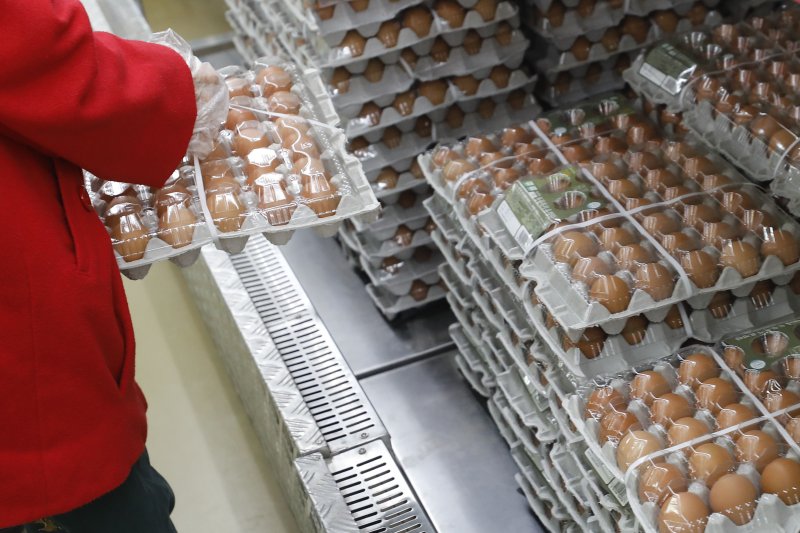 [서울=뉴시스] 최동준 기자 = 서울 시내 마트에서 시민이 계란을 고르는 모습. 2022.11.23. photocdj@newsis.com