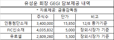 유성운 인동첨단소재 회장 GEGI 담보제공 내역. 사진=금융감독원