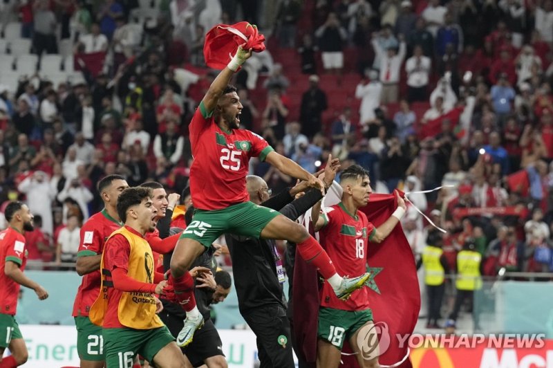 초원의 붉은 사자 모로코, 아프리카 축구의 새 역사 썼다 (연합뉴스)
