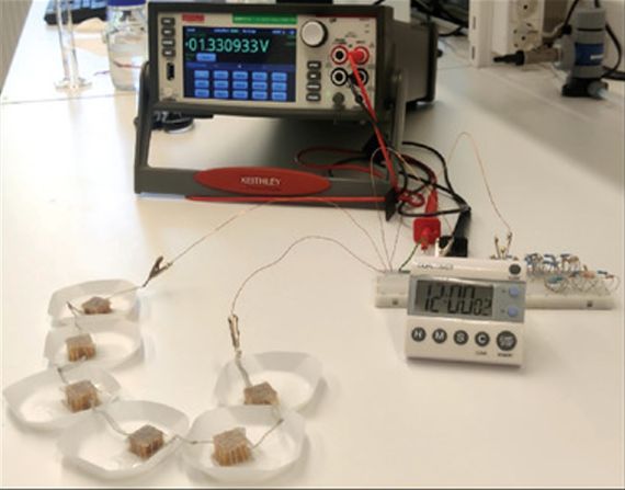 스웨덴왕립공과대(KTH) 연구진이 알칼리수에 담근 산성 나무 6개를 직렬로 연결해 LCD 타이머를 작동시켰다. KTH 제공
