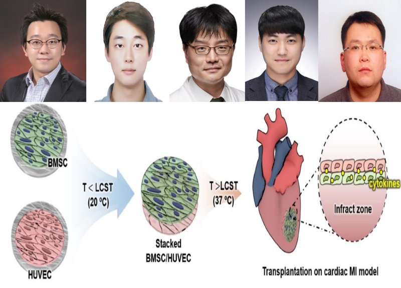 포스텍(포항공대·총장 김무환) 기계공학과 김동성 교수, 최이현 박사 공동연구팀이 심장에 딱 붙는 심근경색 치료 패치 개발에 성공했다. 김동성(왼쪽부터), 최이현, 박훈준, 김혁, 반기원 교수.(포스텍 제공)2022.12.12/뉴스1