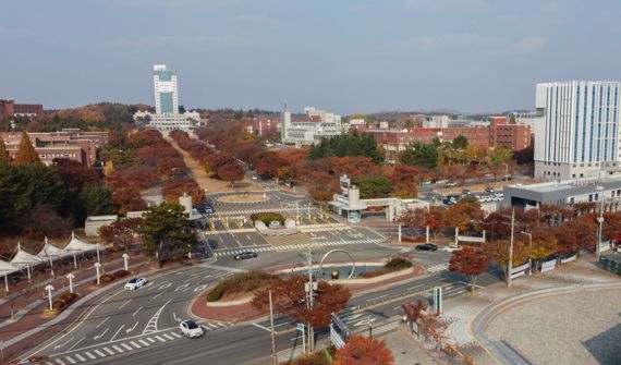 대구대 창업지원단이 중소벤처기업부가 발표한 '2021년 초기창업패키지 성과 평가'에서 '대상' 기관에 선정됐다. 사진은 대구대 경산캠퍼스 전경. 사진=대구대 제공