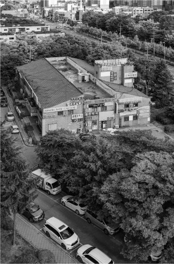 [수원=뉴시스] 강현자 '매탄동' *재판매 및 DB 금지