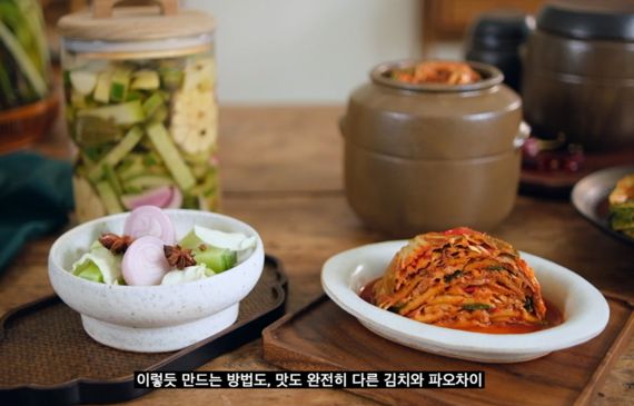 서경덕 "김치와 파오차이는 확연히 다른 음식"