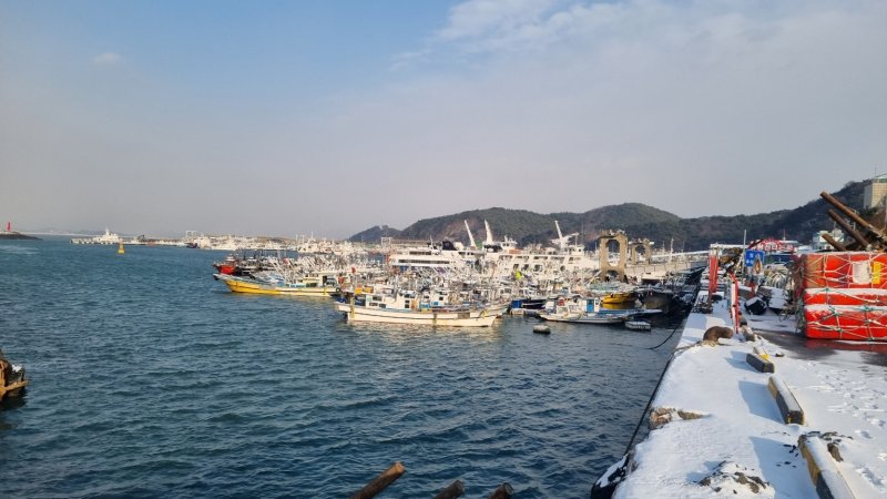 강풍주의보로 결박된 대천항.(보령시 제공)/뉴스1