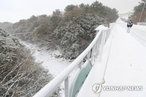폭설 쏟아진 제주 (제주=연합뉴스) 박지호 기자 = 제주도에 대설특보가 내려진 18일 오전 제주시 제1산록도로의 차량 출입이 통제되고 있다. 2022.12.18 jihopark@yna.co.kr