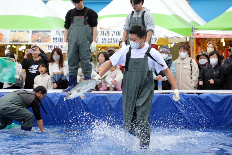 3일 오후 제주 서귀포시 대정읍 모슬포항에서 열린 '제22회 최남단 방어축제'에서 도민과 관광객들이 맨손으로 방어 잡기 체험을 하고 있다.2022.12.3/뉴스1 ⓒ News1 고동명 기자