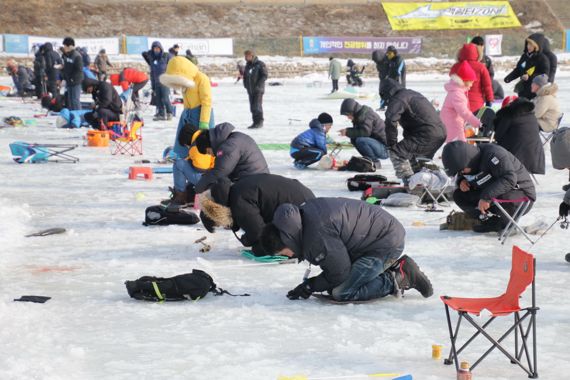 평창 송어축제 현장 이미지 - 파이낸셜뉴스