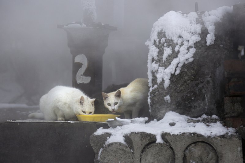 사진DB *재판매 및 DB 금지