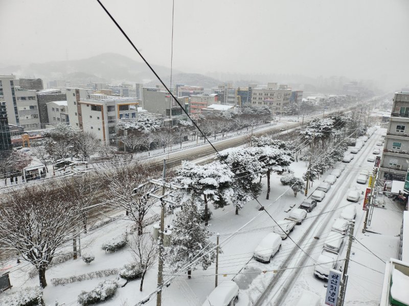 23일 오전 광주·전남 지역에 대설특보가 발효 중인 가운데 순천 도심 일대가 하얀 눈에 뒤덮여 있다.2022.12.23/뉴스1 ⓒ News1 김동수 기자