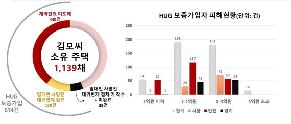 빌라왕 김모씨가 소유한 주택 현황 /HUG 제공