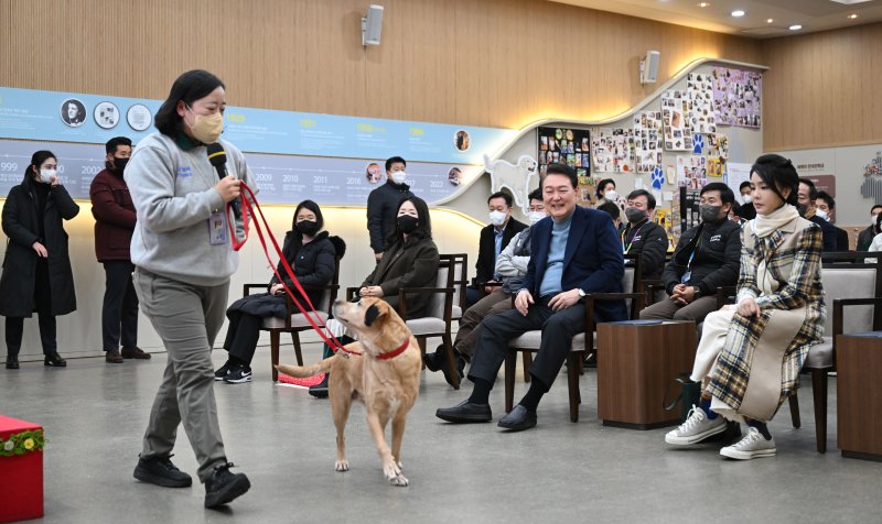 [서울=뉴시스] 윤석열 대통령과 부인 김건희 여사가 24일 경기도 용인 삼성화재 안내견 학교에서 은퇴 안내견 양육 방법에 대한 설명을 듣고 있다. (사진=대통령실 제공) 2022.12.24. photo@newsis.com *재판매 및 DB 금지