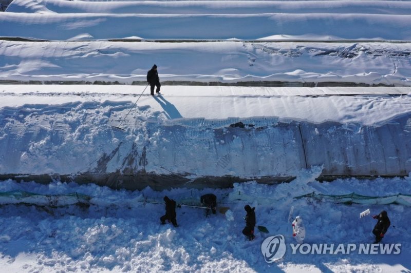 더는 안 무너지게 더는 안 무너지게 (담양=연합뉴스) 차지욱 기자 = 24일 오후 폭설로 축사가 무너져 내린 전남 담양군에 있는 한 오리 농장에서 담양군 관계자들이 방호복을 입고 눈을 치우고 있다. 2022.12.24 uk@yna.co.kr (끝)