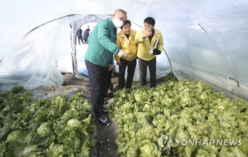 폭설 피해 확인하는 이상민 행안부장관 폭설 피해 확인하는 이상민 행안부장관 (김제=연합뉴스) 이상민 행정안전부 장관이 24일 폭설 피해를 본 전북 김제시 광활면 한 시설하우스 농가를 찾아 현장을 둘러보고 있다. 2022.12.24 [전북도 제공. 재판매 및 DB금지] jaya@yna.co.kr (끝)