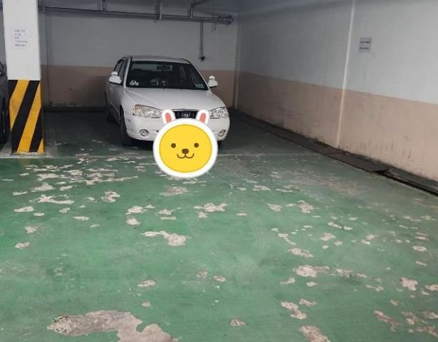 사진 온라인 커뮤니티 '보배드림' *재판매 및 DB 금지