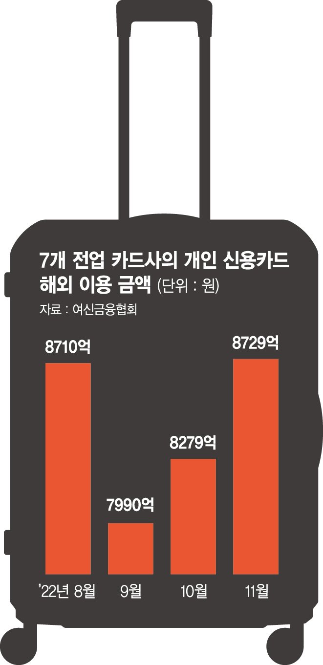 카드 해외결제 1년새 52% 급증… 20代 일본여행 특히 늘었다 [해외여행 수요 폭발] - 파이낸셜뉴스