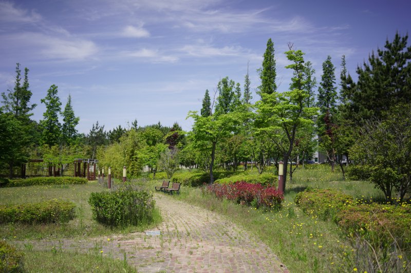 꿀벌공원을 조성할 예정인 울산 온산공단 내 공원 모습. LG생활건강 제공