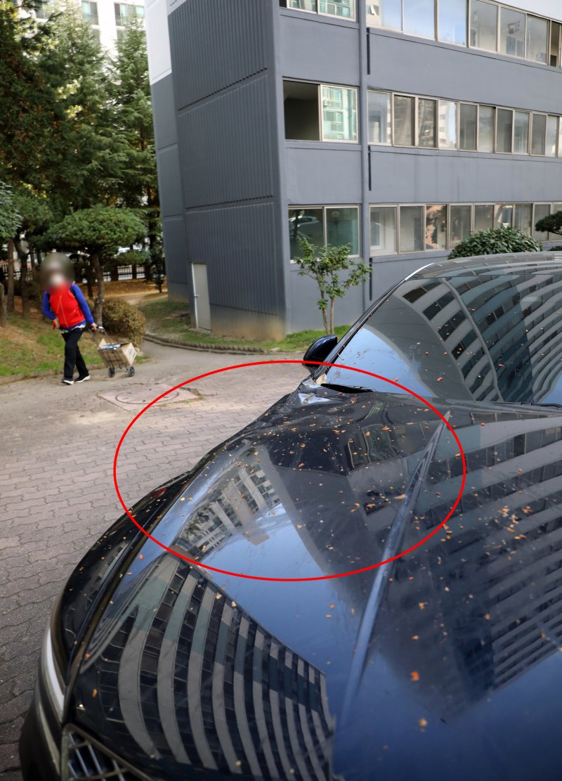 광주 서구 금호동의 한 아파트에 주차된 A씨의 제네시스 G80 차량이 찌그러져 있다. 사진=뉴스1