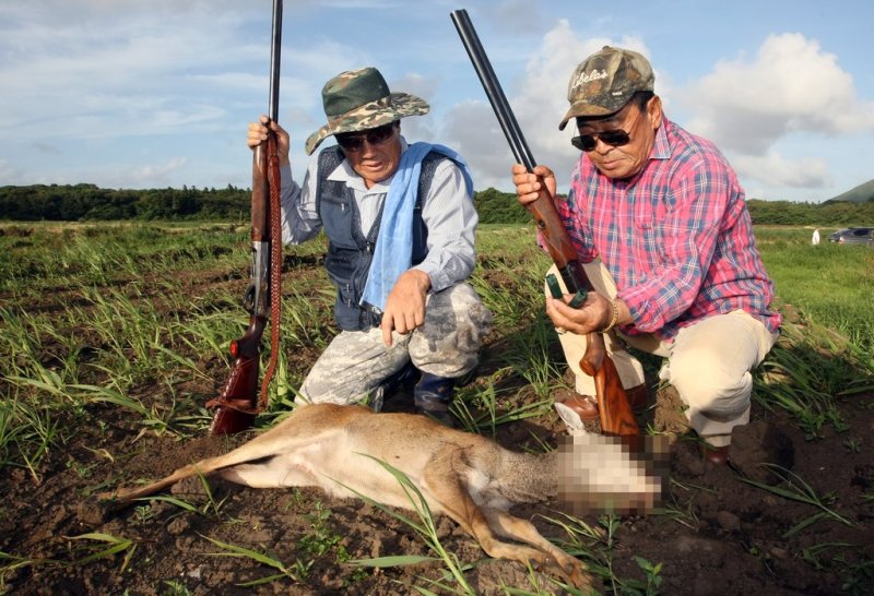 유해동물 지정 제주노루 첫 사살 유해동물 지정 제주노루 첫 사살 (제주=연합뉴스) 고성식 기자 = 한시적으로 유해 야생동물로 지정된 제주 노루에 대한 첫 총기 포획이 이뤄진 13일 제주시 구좌읍 덕천리 야산에서 농가의 대리 포획자인 야생생물관리협회 제주도지부 관계자들이 사살한 노루를 살펴보고 있다. 2013.7.13 << 지방기사 참조 >> koss@yna.co.kr (끝)