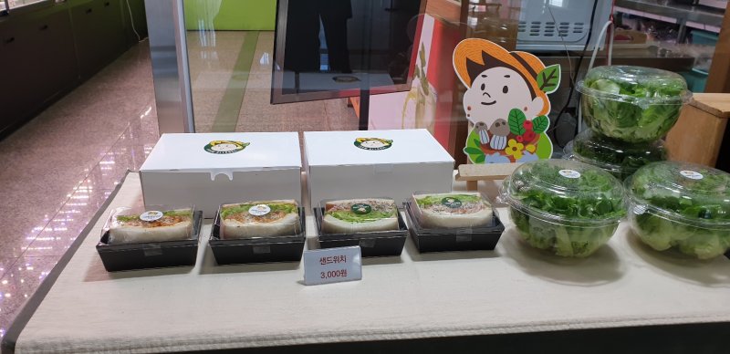 [부산=뉴시스] 백재현 기자 = 매일매일즐거워가 직접 제배한 엽체류로 만든 샌드위치와 샐러드. 2023.01.08. itbrian@newsis.com