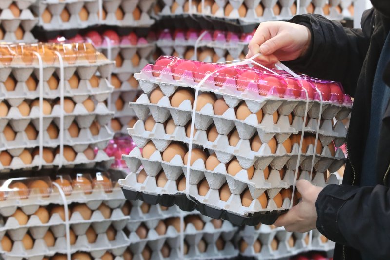 서울 시내 한 마트에서 고객이 계란을 카트에 담고 있다. /사진=뉴시스