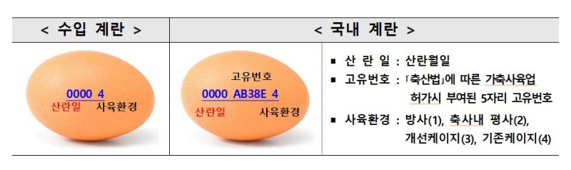 스페인산 계란 구별법. 자료:농식품부 /사진=뉴시스