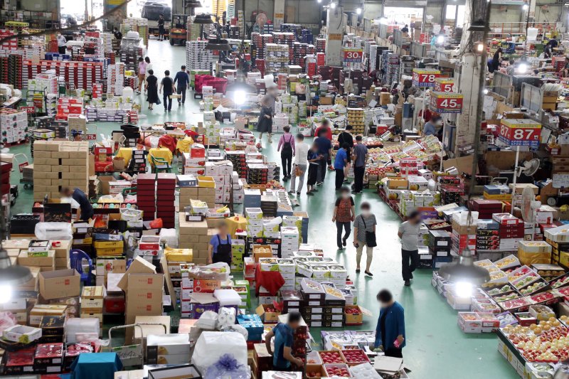 농산물 유통 규모화·디지털 전환...연 2조6000억 절감 추진