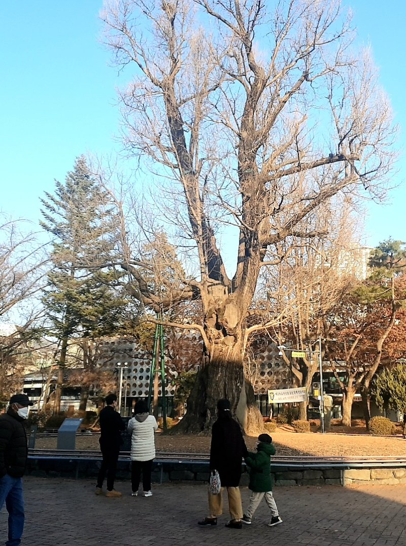 '고데기 열 체크' 실화였다...17년전 청주에서 있었던 끔찍한 학폭사건