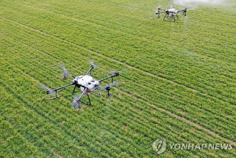 드론을 활용한 중국 영농 현장 (220211) -- BOZHOU, Feb. 11, 2022 (Xinhua) -- Aerial photo taken on Feb. 11, 2022 shows drones spraying herbicide at an "unmanned farm" in Zhaoqiao Town of Bozhou City, east China's Anhui Province. Recently, a newly-built "unmanned farm" in Bozhou ushered in its first spring farming