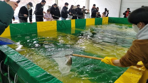 "인삼 송어맛 끝내줘요"...홍천강 꽁꽁축제 개막 이틀째 '성황'