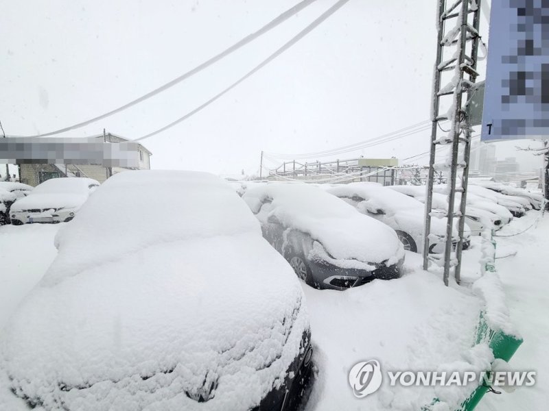 눈 이불 덮은 차량 눈 이불 덮은 차량 (속초=연합뉴스) 이종건 기자 = 동해안에 폭설이 쏟아진 15일 속초 시내 한 중고자동차매매상가 주차장에 주차된 차들이 눈을 뒤집어쓰고 있다. 2023.1.15 momo@yna.co.kr (끝)