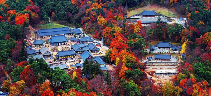 해인사 차기 주지 스님 선출 과정서 몸싸움…부상자 1명 병원 이송 - 파이낸셜뉴스 해인사 차기 주지 스님 선출 과정서 몸싸움…부상자 1명 병원 이송 - 파이낸셜뉴스