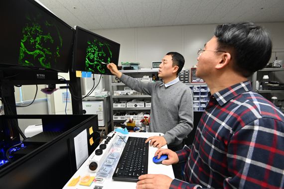 한국전자통신연구원(ETRI) 송동훈 박사(왼쪽)가 다이오드 결합 레이저 현미경을 통해 관측된 세포조직의 병변 여부를 살펴보고 있다. ETRI 제공